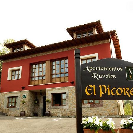 Apartamentos El Picoretu Mestas De Con Cameră foto
