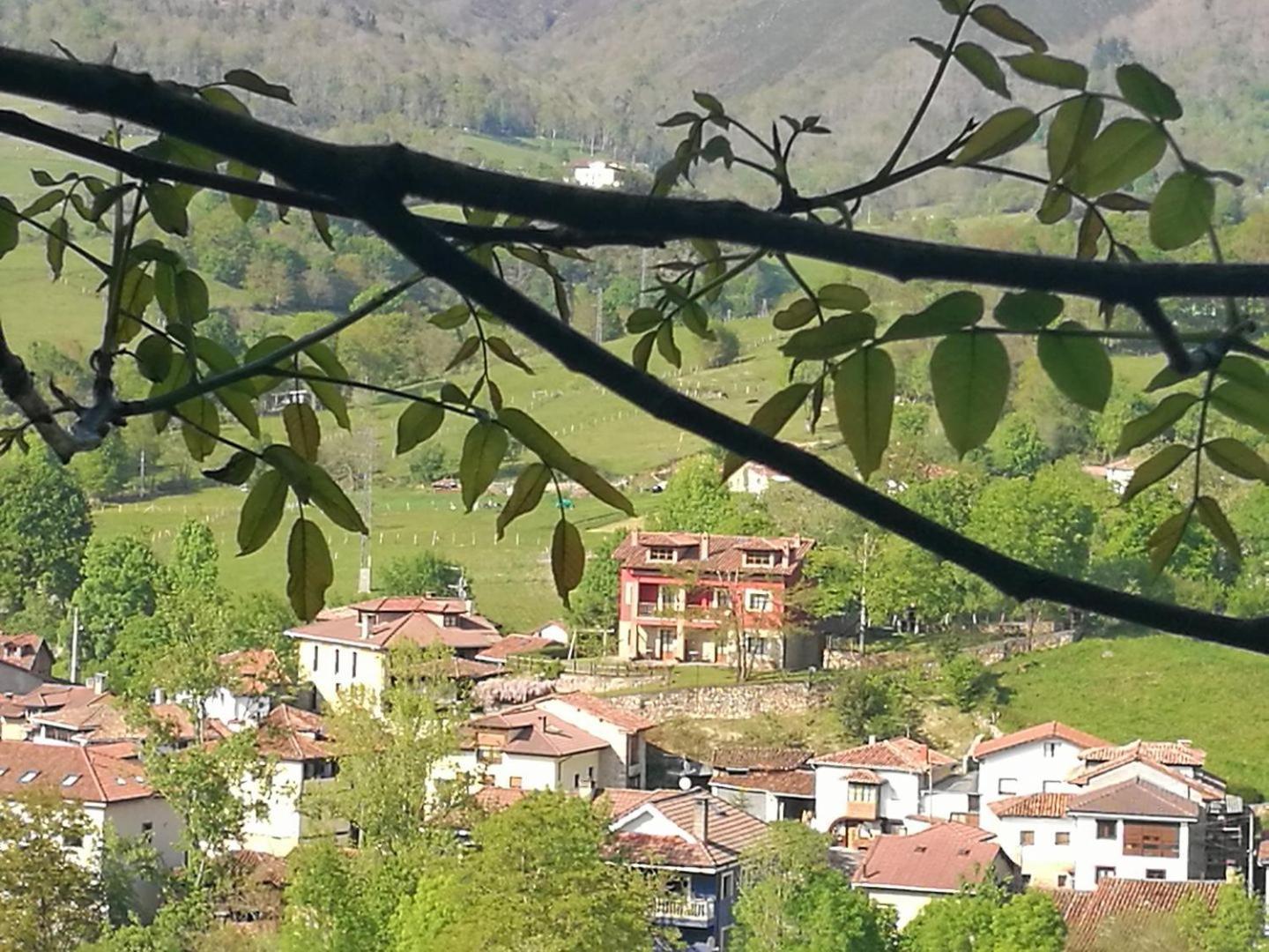 Apartamentos El Picoretu Mestas De Con Exterior foto