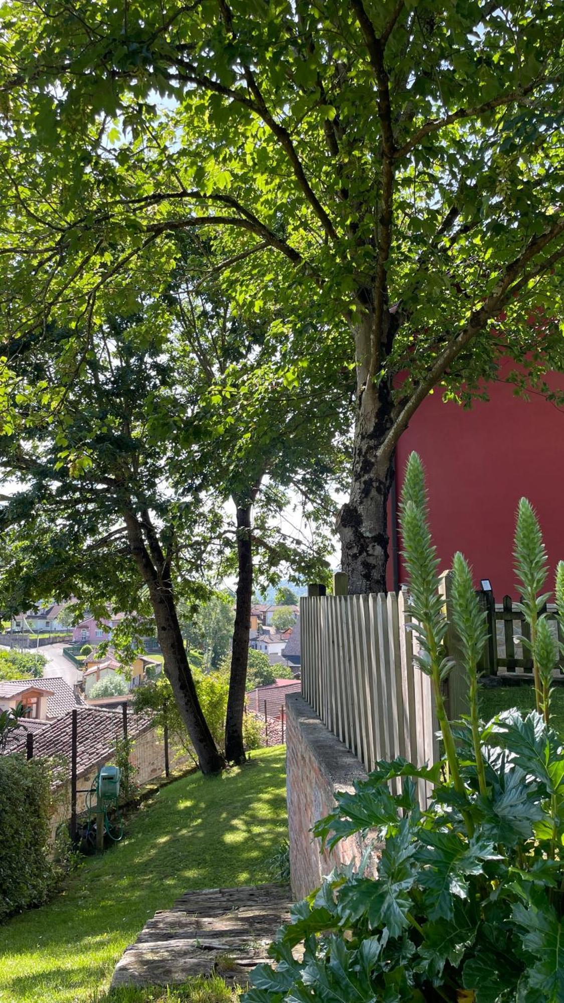 Apartamentos El Picoretu Mestas De Con Exterior foto