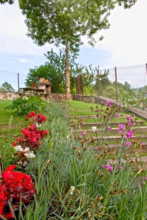 Apartamentos El Picoretu Mestas De Con Cameră foto